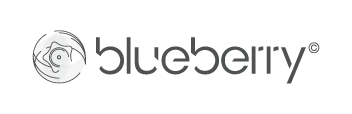 Blueberry NL